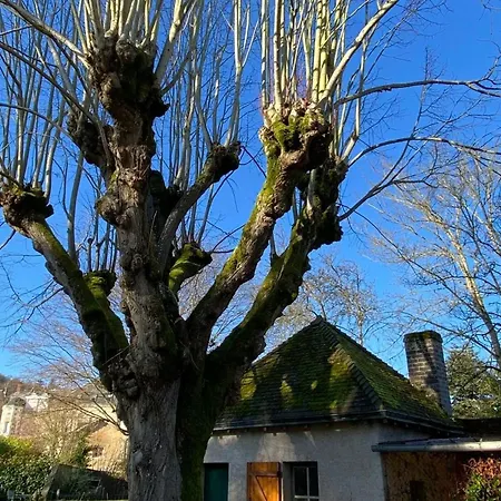 Grande Maison En Bord De L'eau Avec Jardin - 6 Chambres, Proche Commerces - Fr-1-410-442