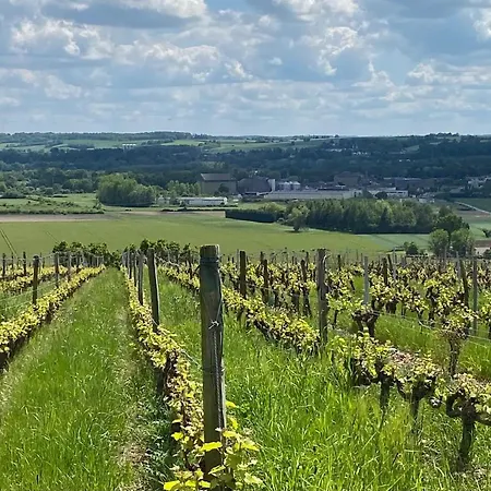 Grande Maison En Bord De L'eau Avec Jardin - 6 Chambres, Proche Commerces - Fr-1-410-442 Vakantiehuis